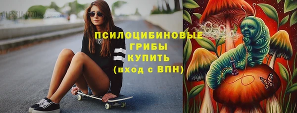прущие грибы Алексин